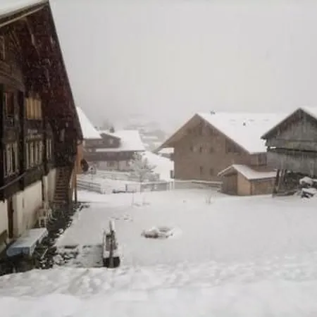 Apartamento Engi By Interhome Hasliberg